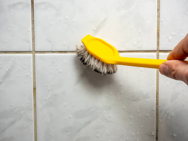 Home Mold Removal in Big Bear City, CA