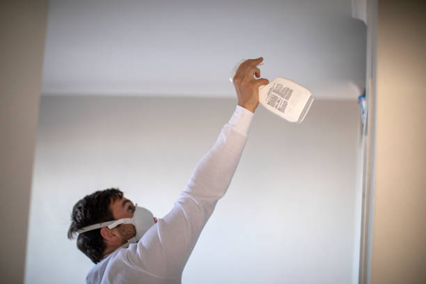 Best Best Mold Removal Companies  in Big Bear City, CA