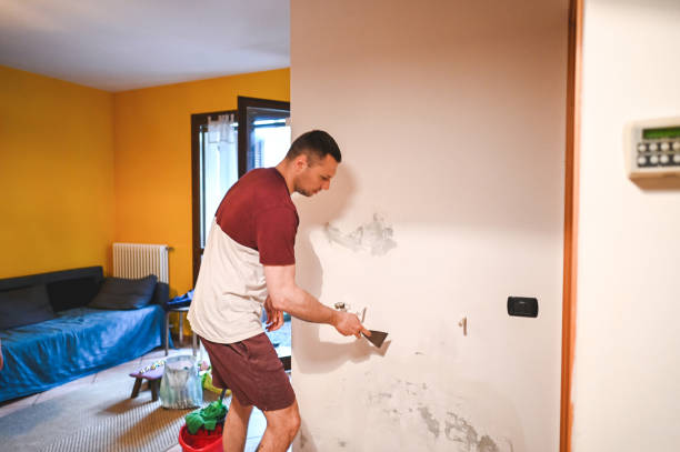 Best Toxic Mold Removal  in Big Bear City, CA